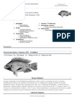 FAO FAO Pesca Oreochromis Niloticus