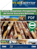 ce_196_historia_actualidad_perspectivas_sector_azucarero_boliviano.pdf