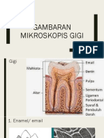 Gambar Mikro Gigi