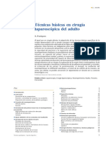 Pouliquen2009 PDF