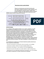 Infecciones de Piel y Partes Blandas