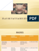PLAN_DE_VACUNACIN_EN_CERDOS_1 (1).pptx