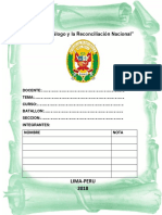 Monografia de Patrullaje Policial en Brasil