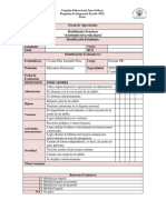 2 Pautas Habilidades Sociales, Conceptuales y Practicas (1)