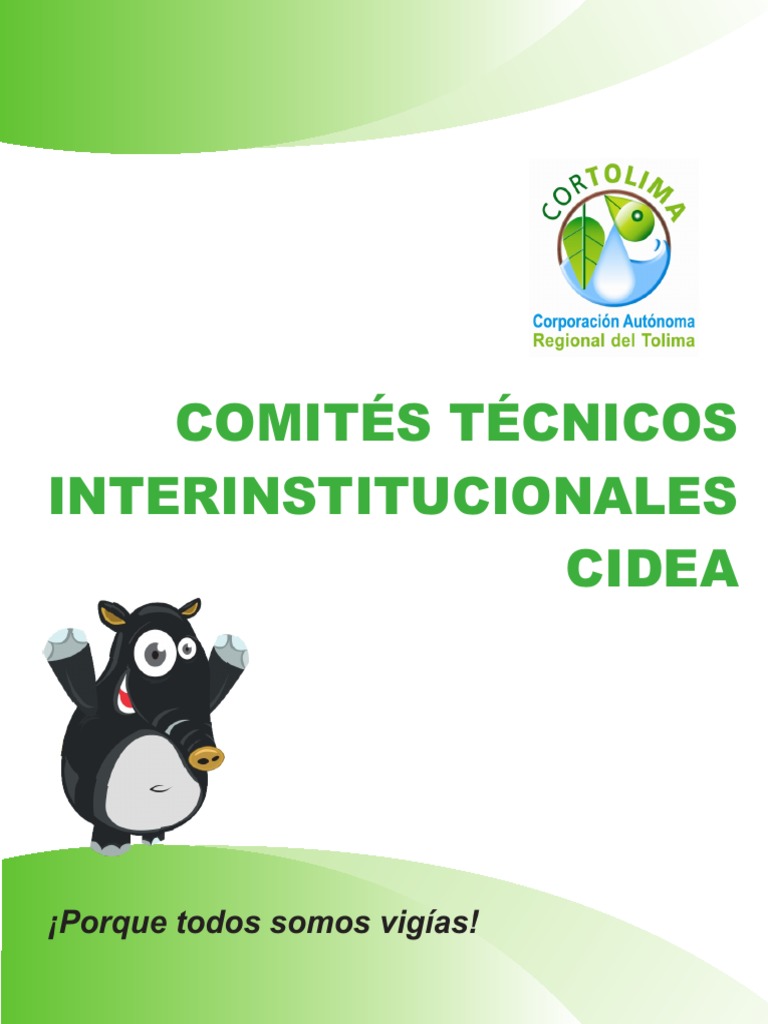 Manual CIDEA | PDF | Gobierno | Educación avanzada
