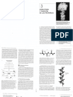 Estructura y función de las proteínas