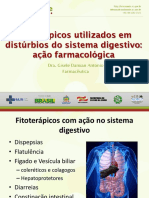 Fitoterápicos para digestão