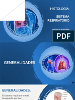 Sistema Respiratorio