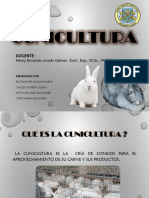 Cunicultura (2).pptx