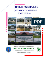 6207 Kalteng Kab Lamandau 2014 PDF