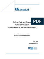 16.1  GPC Fluidoterapia ESSALUD_12.2017.pdf