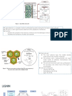 Lignicellulose Frctionation