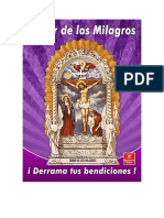 Señor de Los Milagross