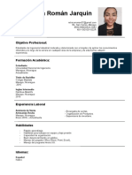 Curriculum Mejorado PDF