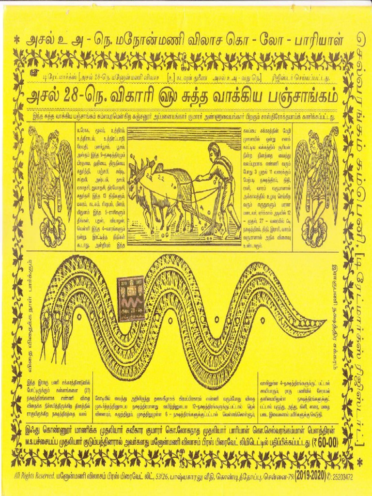 Paambu Overview and Insights | PDF