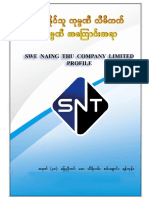 Swe Naing Thu Company Profile - Master