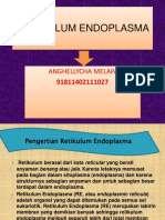 Retikulum Endoplasma: Anghellycha Melapa