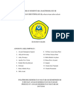 LAPORAN Mycobacterium Tuberculosis (Repaired)