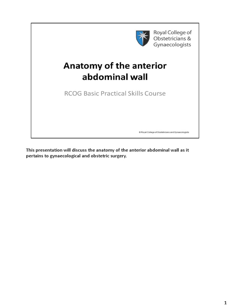 Anatomy of the Anterior Abdominal Wall | PDF | Abdomen | Anatomy