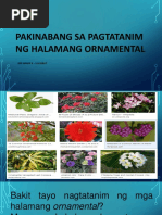 Halamang Ornamental Pdf