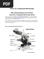 Parts of A Compound Microscope