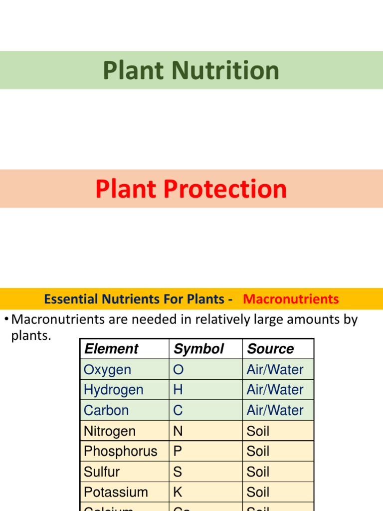 Plant Nutrition Pdf Plant Nutrition Nutrients
