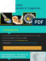 Gametogenesis: Spermatogenesis & Oogenesis: Dr. Naveen Kumar MMMC Manipal