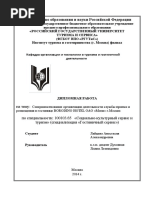 Layceva A.A. - Sksit - 2014g PDF | PDF