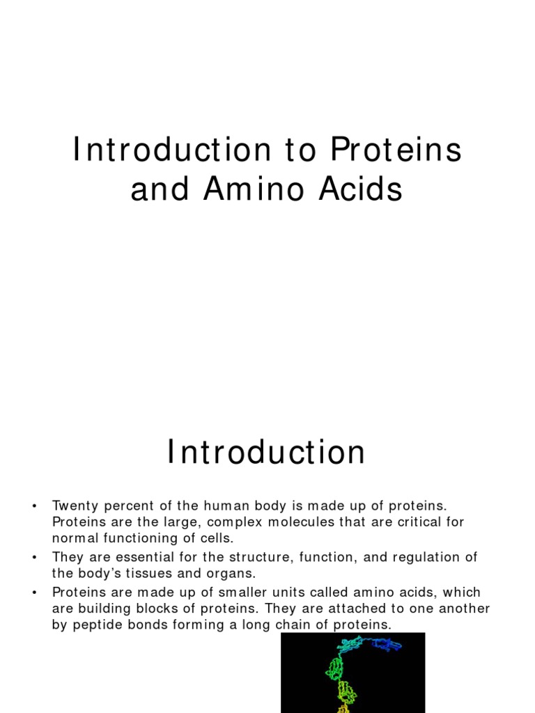 Introduction To Proteins And Amino Acids 571576 7 Pdf Biomolecular Structure Amino Acid