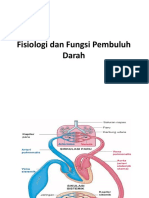 Fisiologi Dan Fungsi Pembuluh Darah