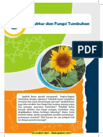 Bab 3 Struktur danFungsi Tumbuhan.pdf