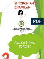 225992525-Penyuluhan-TORCH.pptx