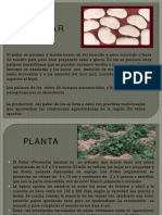 platos del Pallar.pdf