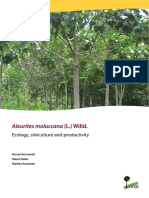 Aleurites Moluccana (L.) Willd.: Ecology, Silviculture and Productivity