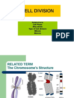 Cell Division: Mitosis and Meiosis