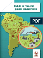 La Realidad de La Mineria Ilegal en Paises Amazonicos SPDA