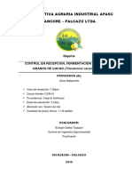 Reporte PPP PDF