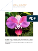 ORQUIDEA