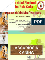 2.ascariosis Canina