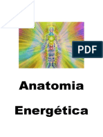356868569-Anatomia-Energetica.pdf