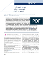 Bone-borne RME Study Using Micro-CT