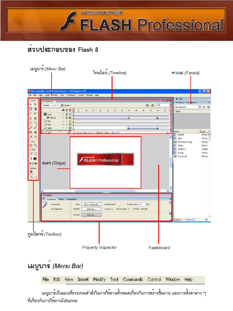 Flash | PDF