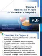Chapter One An Accounting Perspective