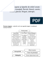 Procese Exogene