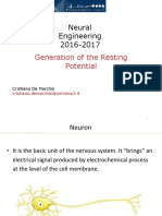 Neural Engineering - Generation of the Resting Potential