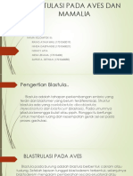 Blastulasi Pada Aves Dan Mamalia