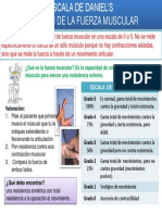 Escala de Daniels PDF