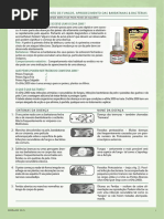 Informação ESHa 2000