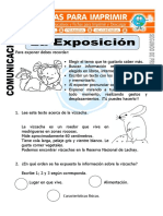 Ficha de La Exposicion para Segundo de Primaria