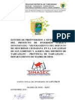 Resumen Ejecutivo Pip Seguridad Ciudadana Tahuamanu PDF